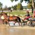 Kentucky Classic CDE
